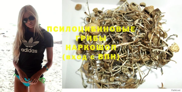 тгк Абинск