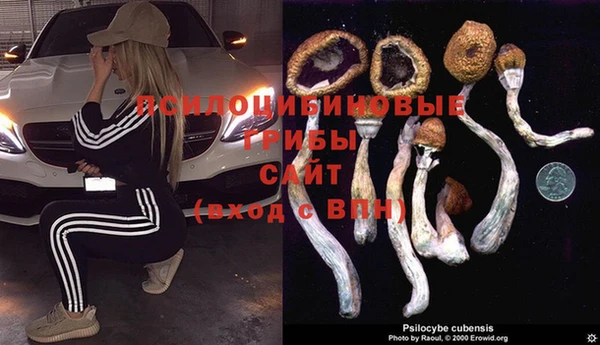 тгк Абинск
