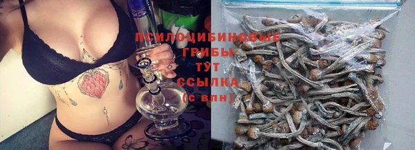 стафф Абдулино